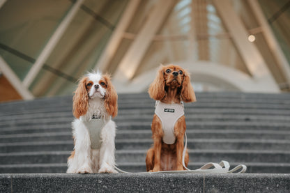 Harnais Réglable Taupe