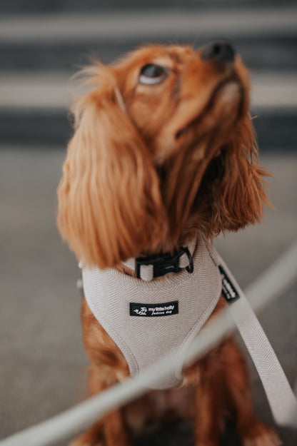 Harnais Réglable Taupe