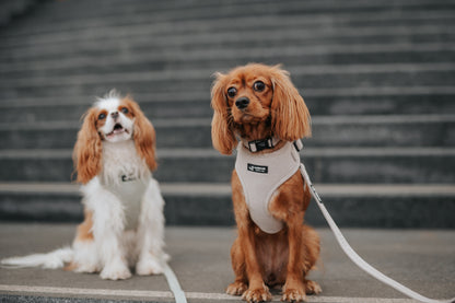 Harnais Réglable Taupe