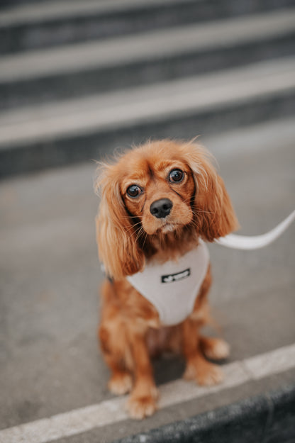 Harnais Réglable Taupe