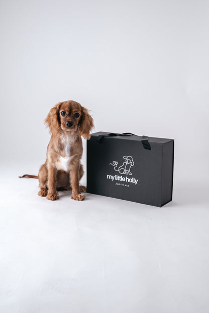 Box chiot ou chien de petite taille