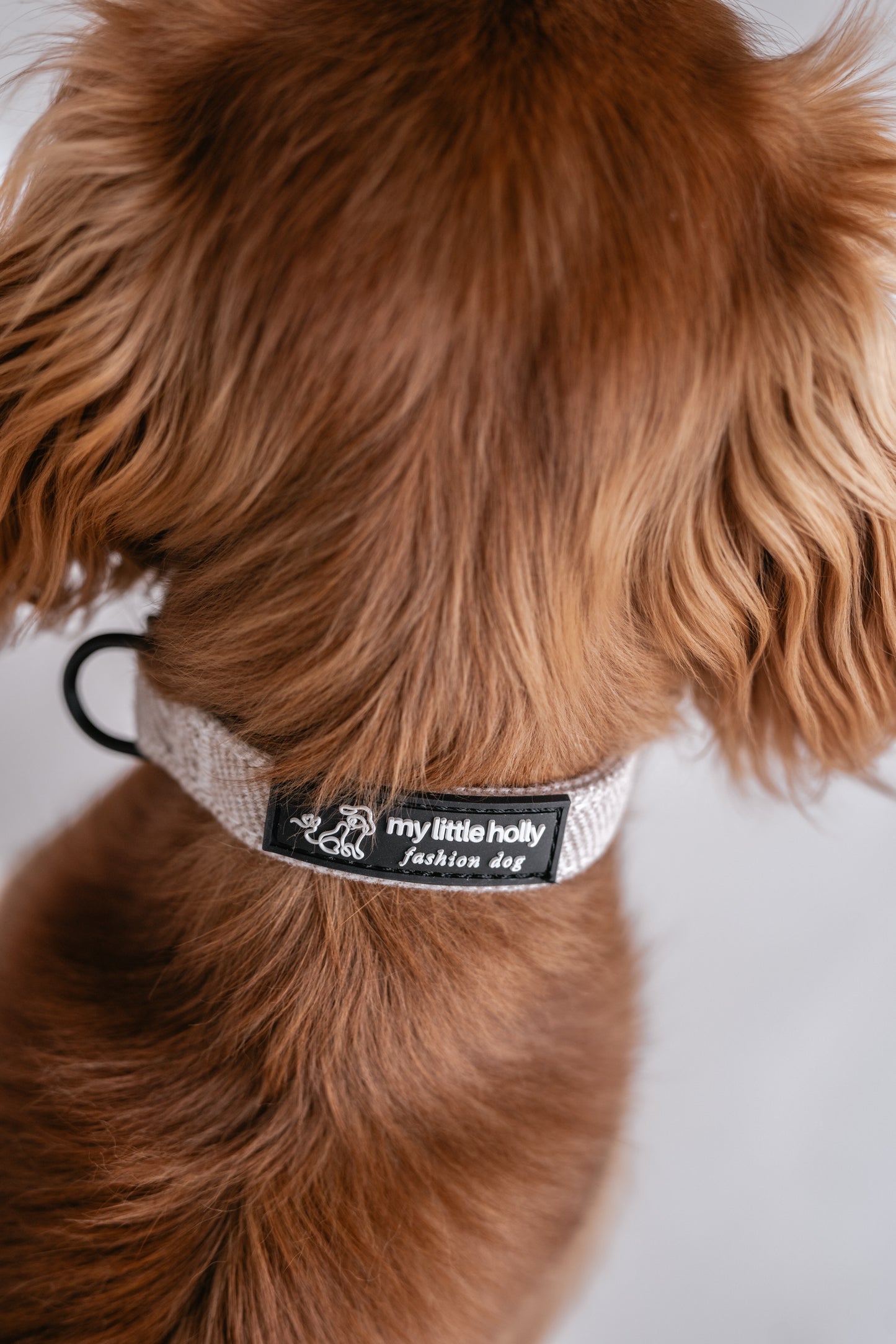 Collier Réglable Taupe