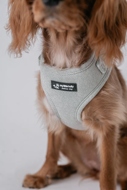 Box chiot ou chien de petite taille