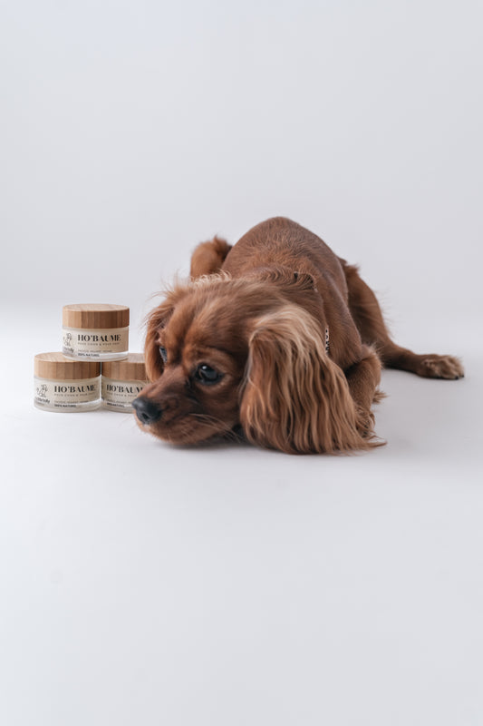 HO'BAUME - Baume 100% Naturel pour Chiens et Chats (50 ml)